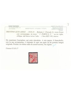 TRENTINO (BZ3) 1918-19 Floreale 2c (5 PORTO S.T. su 3 righe) MNH** ©