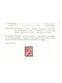 TRENTINO (BZ3) 1918-19 Floreale 2c (5 PORTO S.T. su 3 righe) MNH** ©