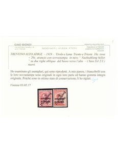TRENTINO (TIROLO E LANA) 1919 10c rosa + 20c arancio 2v MNH** ©