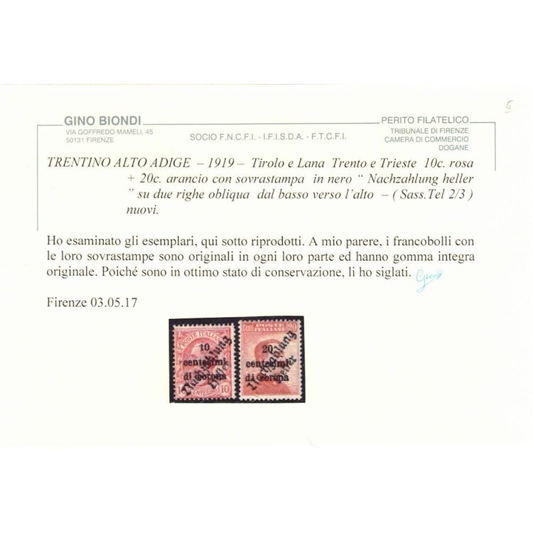 TRENTINO (TIROLO E LANA) 1919 10c rosa + 20c arancio 2v MNH** ©