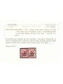 TRENTINO (TIROLO E LANA) 1919 10c rosa + 20c arancio 2v MNH** ©
