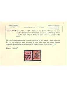 TRENTINO (TIROLO E LANA) 1919 10c rosa + 20c arancio 2v MH* ©