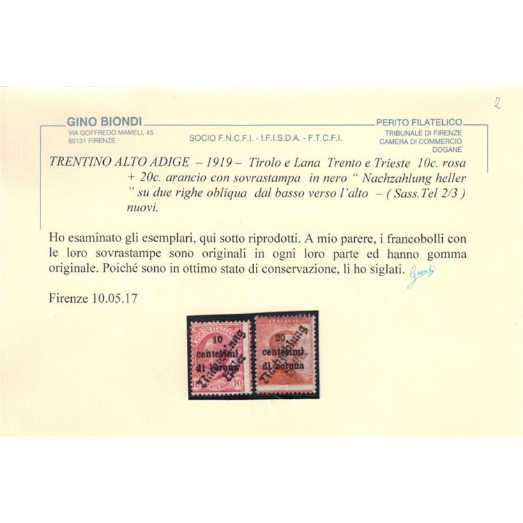 TRENTINO (TIROLO E LANA) 1919 10c rosa + 20c arancio 2v MH* ©