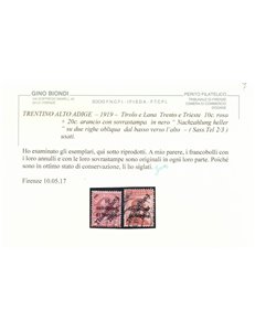 TRENTINO (TIROLO E LANA) 1919 10c rosa + 20c arancio 2v us ©