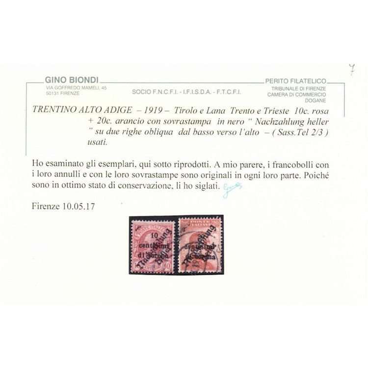 TRENTINO (TIROLO E LANA) 1919 10c rosa + 20c arancio 2v us ©