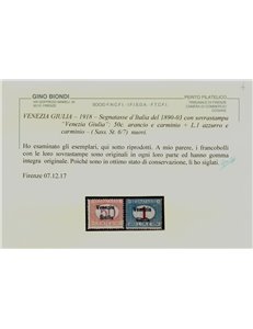 VENEZIA GIULIA 1918 Segnatasse 7v MNH** ©