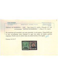 LEVANTE (TRIPOLI DI BARBERIA) 1909 5c verde + 1₤ bruno 2v MH* ©