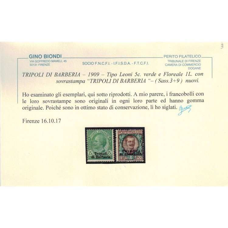 LEVANTE (TRIPOLI DI BARBERIA) 1909 5c verde + 1₤ bruno 2v MH* ©