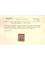 ITALIA REGNO 1923 BLP 10c rosa MNH** ©