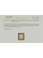 ITALIA REGNO 1862 10c bistro MNH** ©