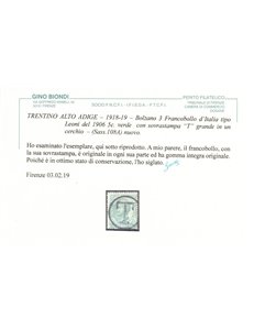 TRENTINO (BZ3) 1918-19 Trento e Trieste 5c verde (soprast. T) MNH** ©