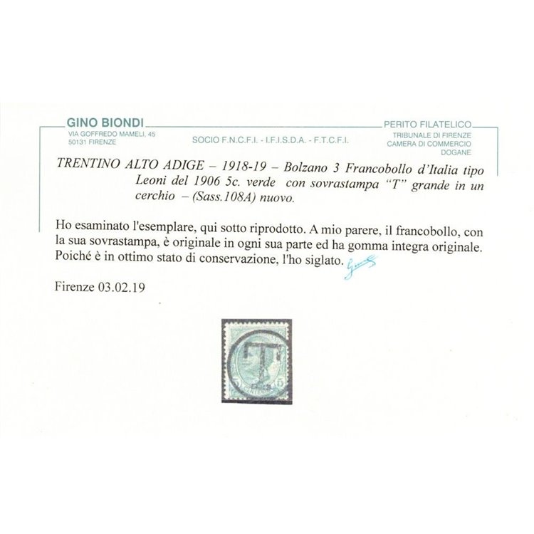TRENTINO (BZ3) 1918-19 Trento e Trieste 5c verde (soprast. T) MNH** ©