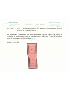 MERANO 1918 Cifra in rettangolo 2h (coppia tête-bêche) MNH** ©