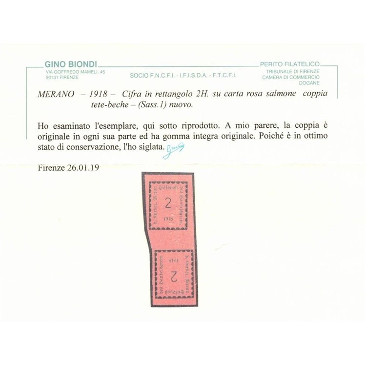 MERANO 1918 Cifra in rettangolo 2h (coppia tête-bêche) MNH** ©