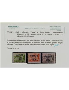 FIUME 1919 Allegorie e vedute 13v MNH** ©