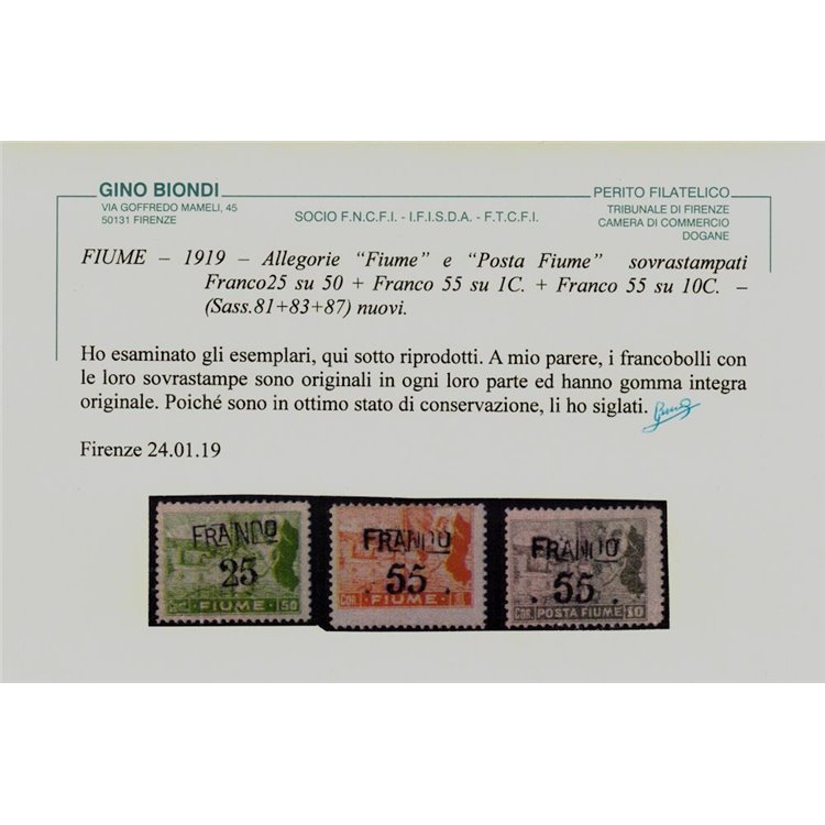 FIUME 1919 Allegorie e vedute 13v MNH** ©