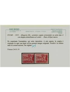 FIUME 1919 Varietà Allegorie 60c carminio (doppia dentellatura) 2v MNH** ©