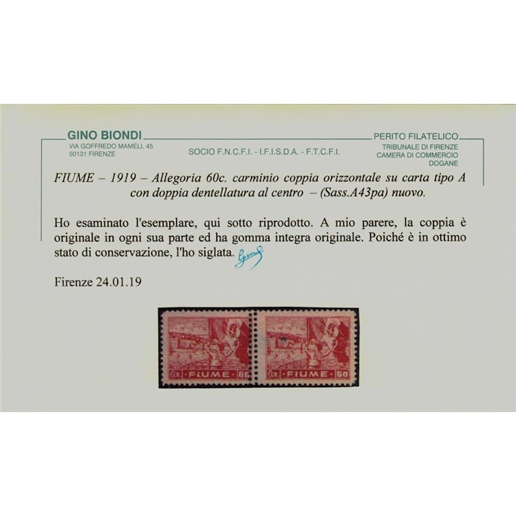 FIUME 1919 Varietà Allegorie 60c carminio (doppia dentellatura) 2v MNH** ©