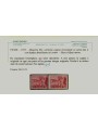 FIUME 1919 Varietà Allegorie 60c carminio (doppia dentellatura) 2v MNH** ©