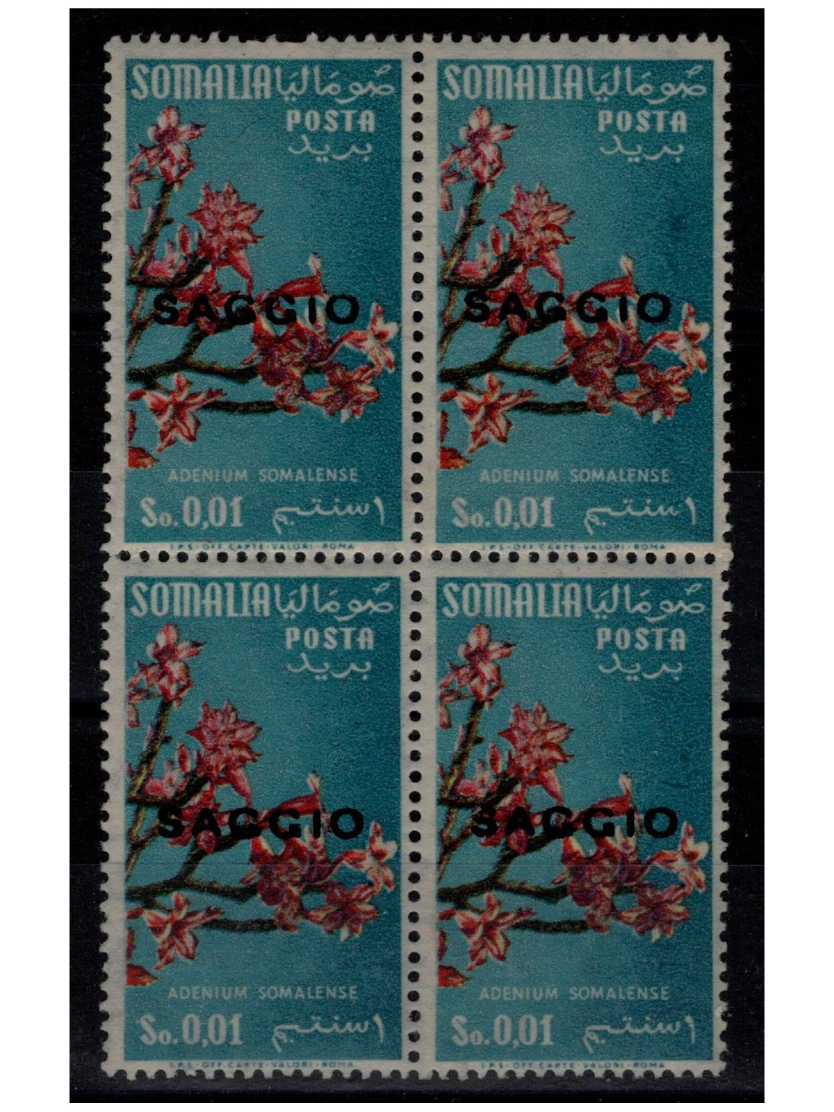 SOMALIA AFIS 1956 Fiori 1c (Saggio) in quartina MNH**