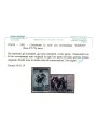 ITALIA 1951 Censimento (Saggio) MNH** ©
