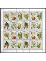 VATICANO 1992 Flora del nuovo mondo MF MNH**
