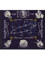 BULGARIA 1986 Cometa di Halley BF MNH**