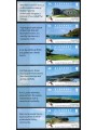 ALDERNEY 2008 Vedute 6v MNH**