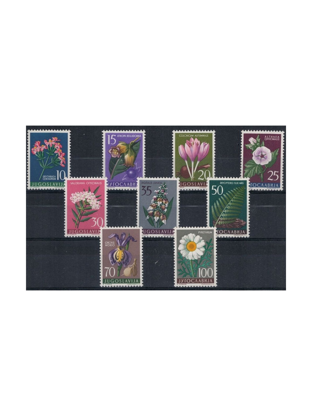 YUGOSLAVIA 1957 Flora, medicinal plants 9v MNH**