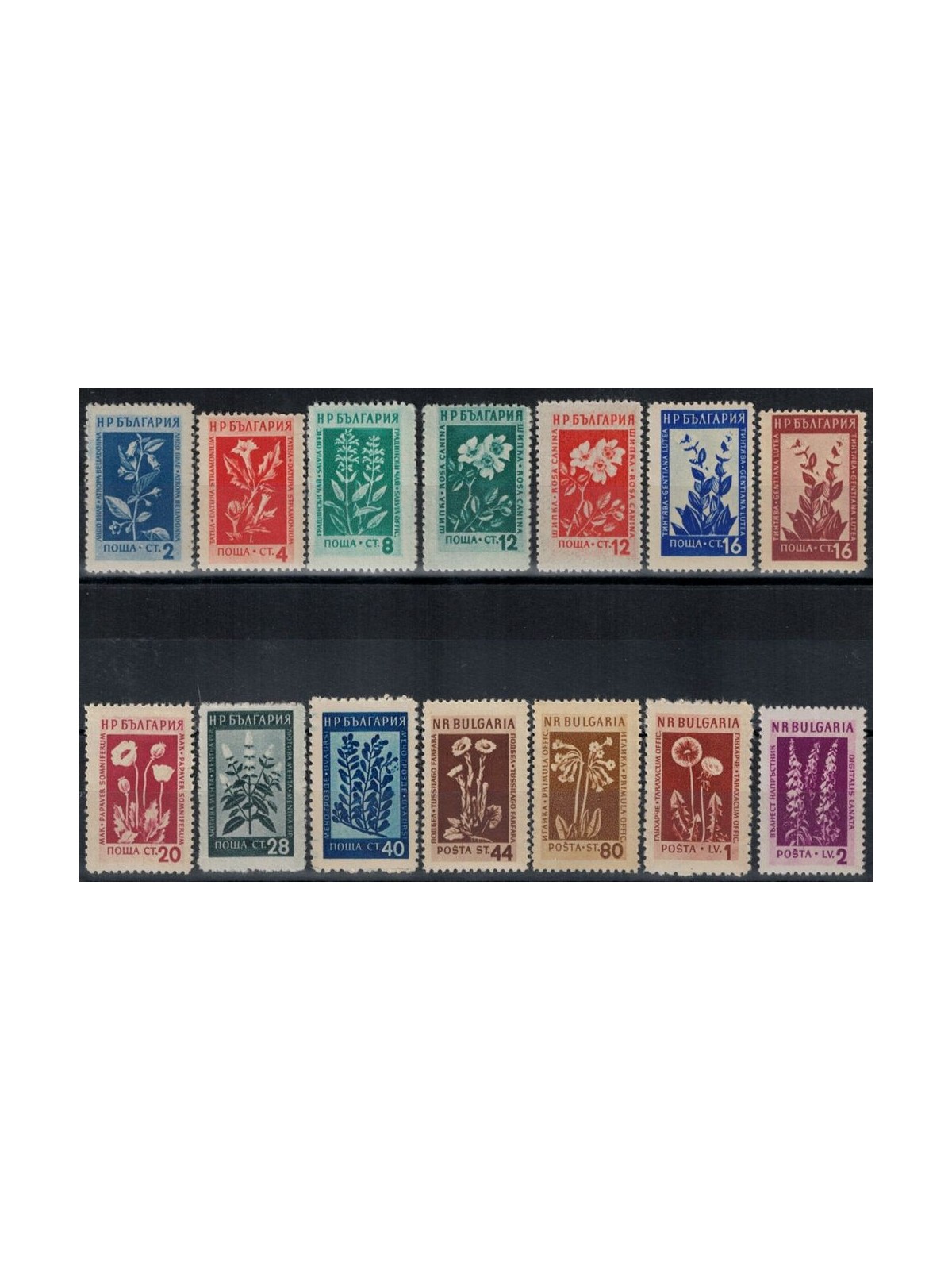 BULGARIA 1953 Flowers and medicinal plants 14v MNH**