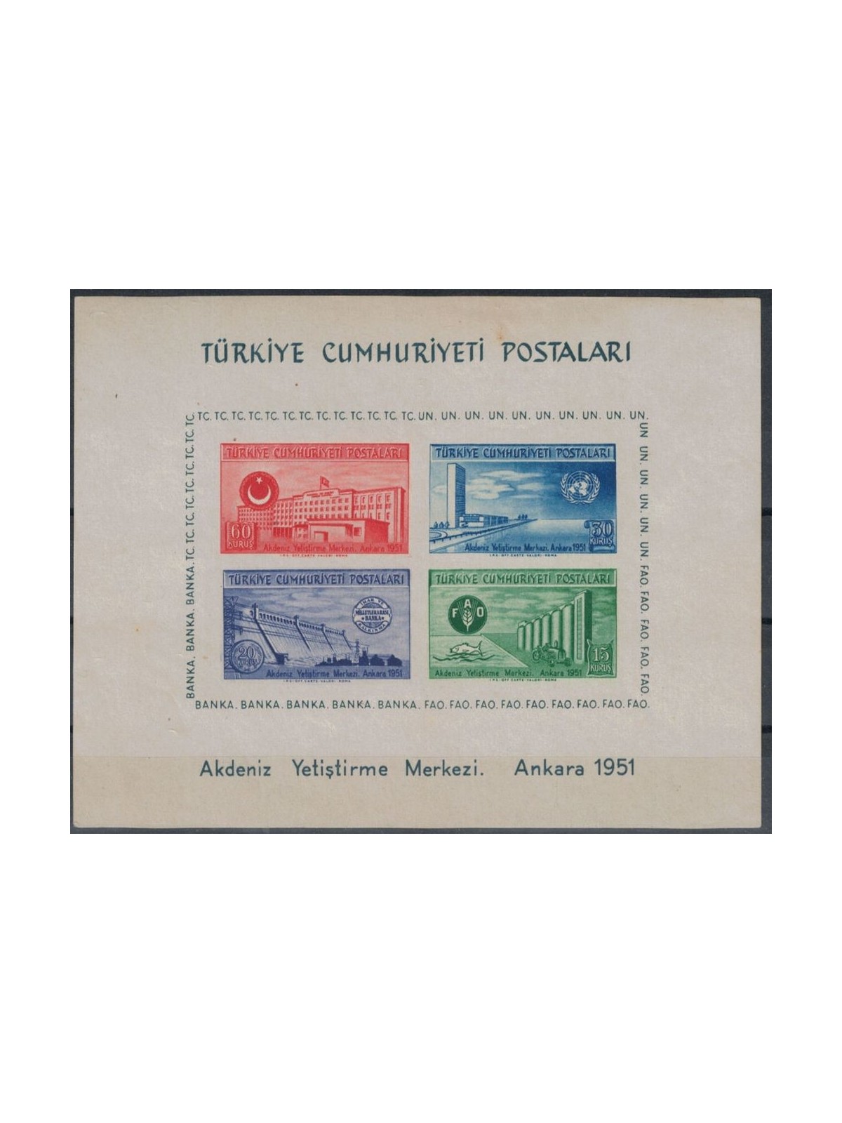 TURCHIA 1952 Studi economici delle Nazioni Unite BF MNH**