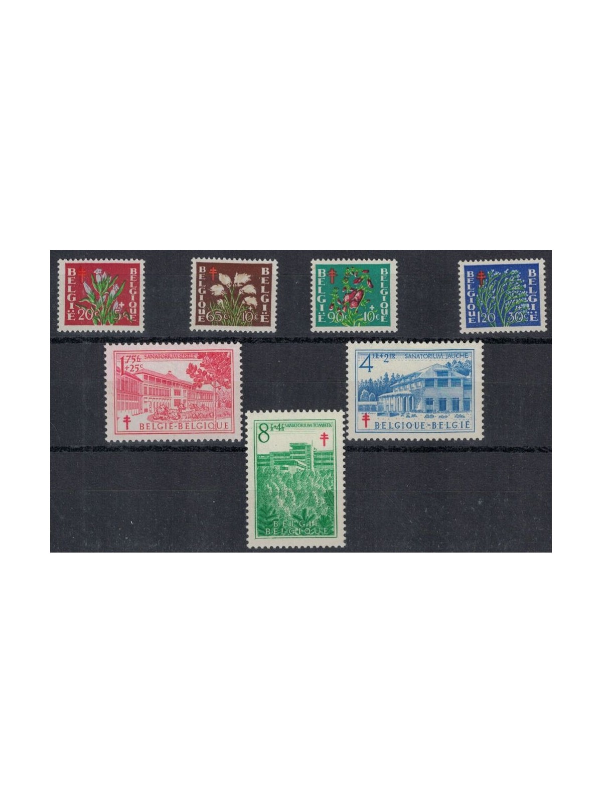 BELGIUM 1950 For anti-tuberculosis work 7v MNH**