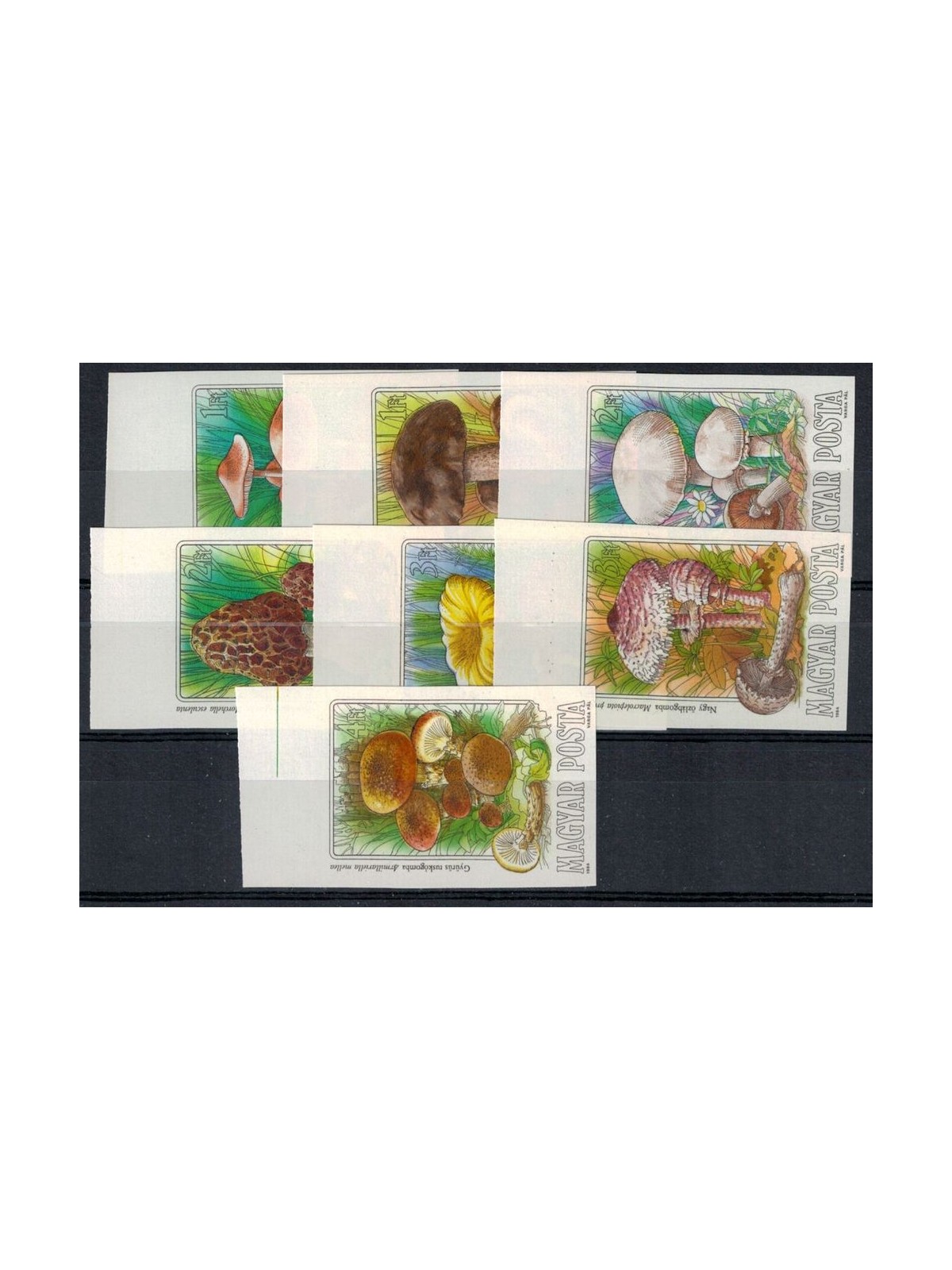 HUNGARY 1984 Edible mushrooms (ND) 7v MNH**