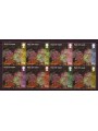 MAN 2009 Peony Festival 8v miniature sheetlet MNH**