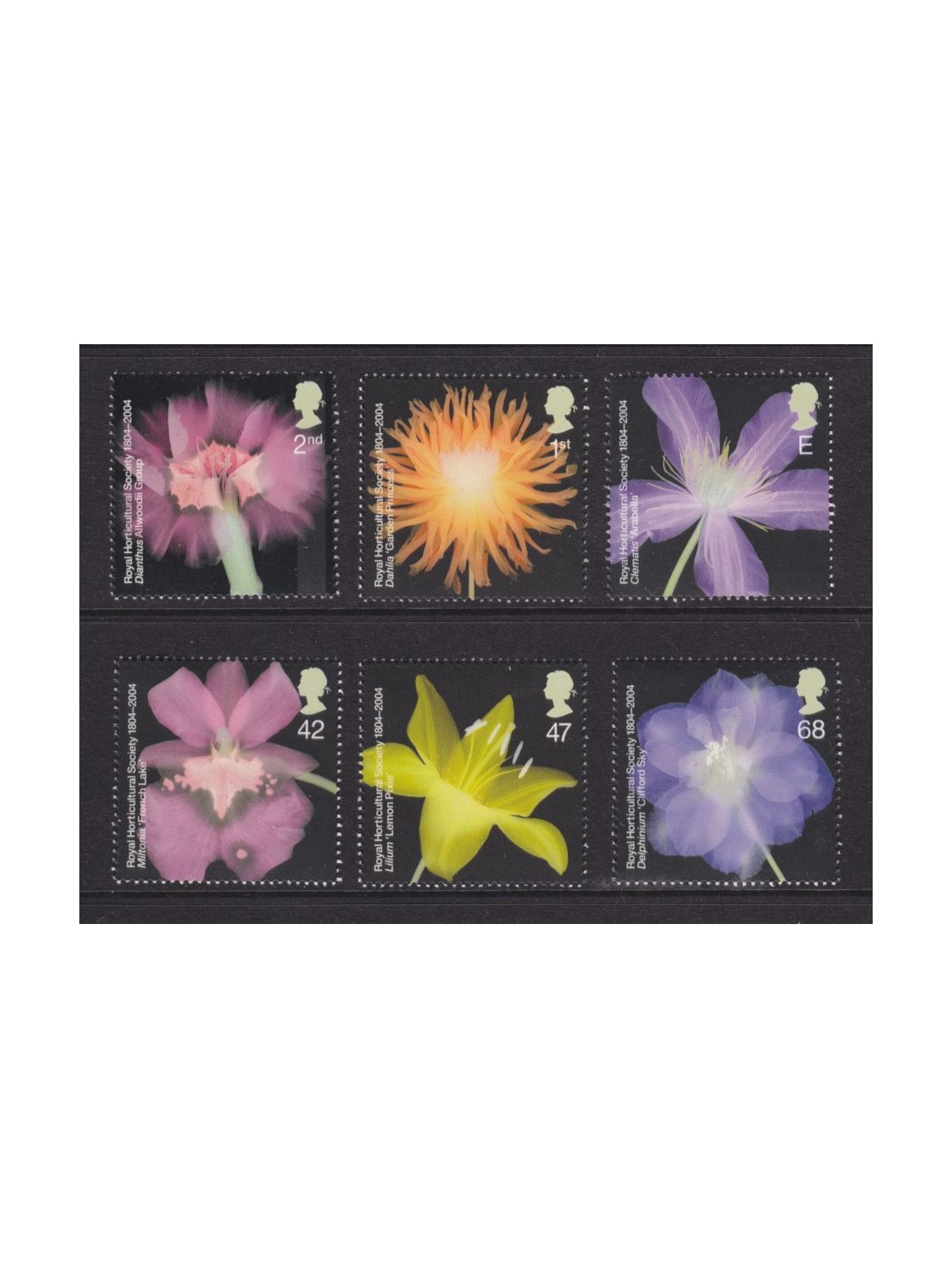 GREAT BRITAIN 2004 Royal Horticultural Society, flowers 6v MNH**