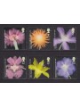 GREAT BRITAIN 2004 Royal Horticultural Society, flowers 6v MNH**