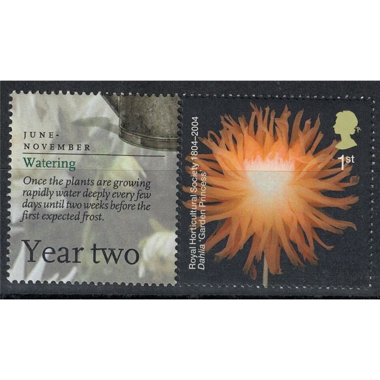 GRAN BRETAGNA 2004 Royal Horticultural Society, dahlia 1v MNH**