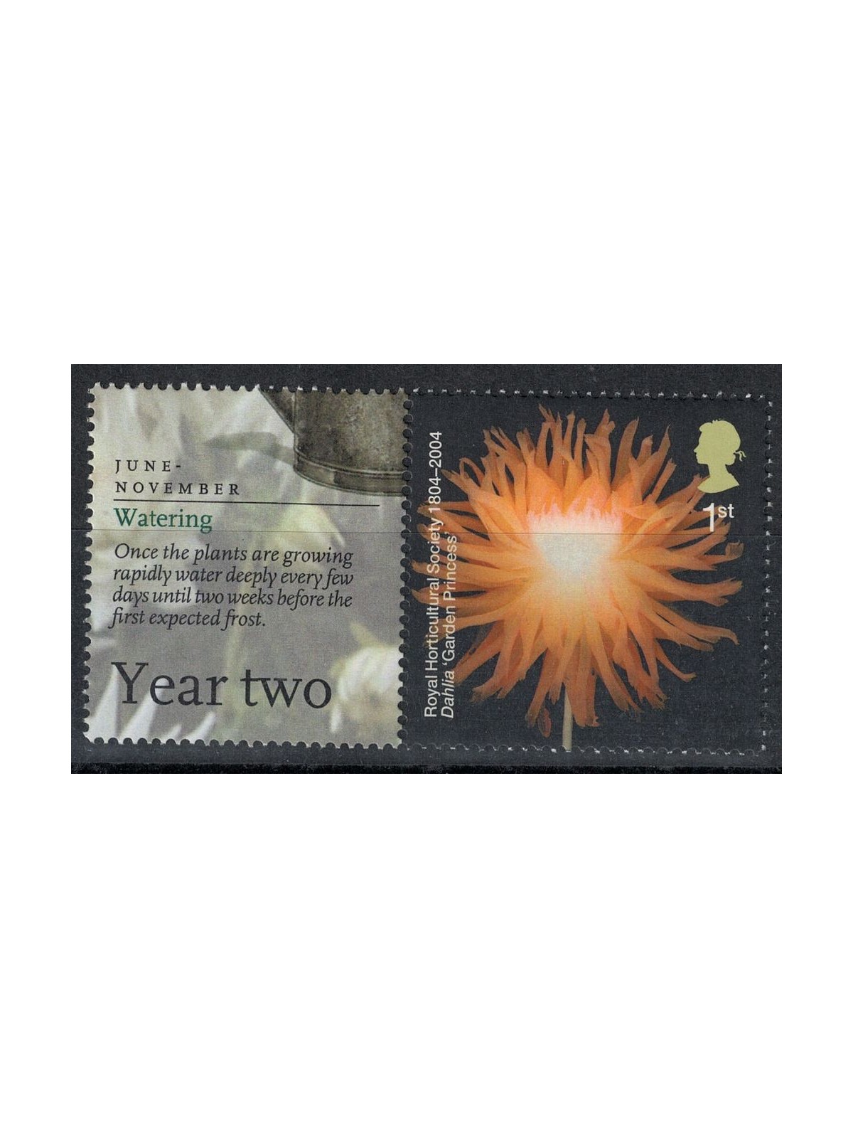 GREAT BRITAIN 2004 Royal Horticultural Society, dahlia 1v MNH**