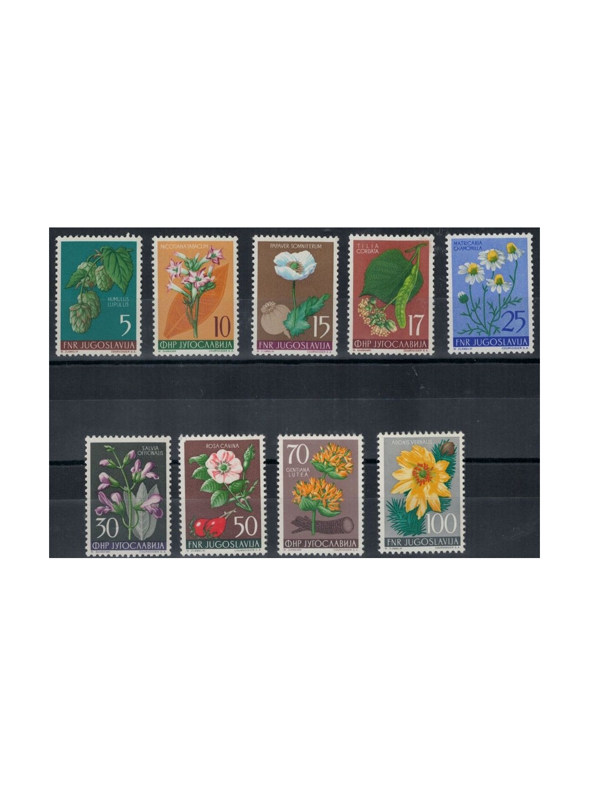YUGOSLAVIA 1955 Yugoslavian flora, flowers 9v MNH**