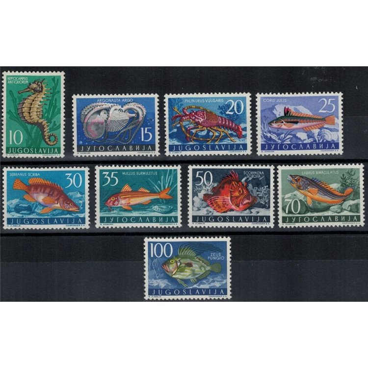 YUGOSLAVIA 1956 Yugoslav fauna, animals of the Adriatic Sea 9v MH*