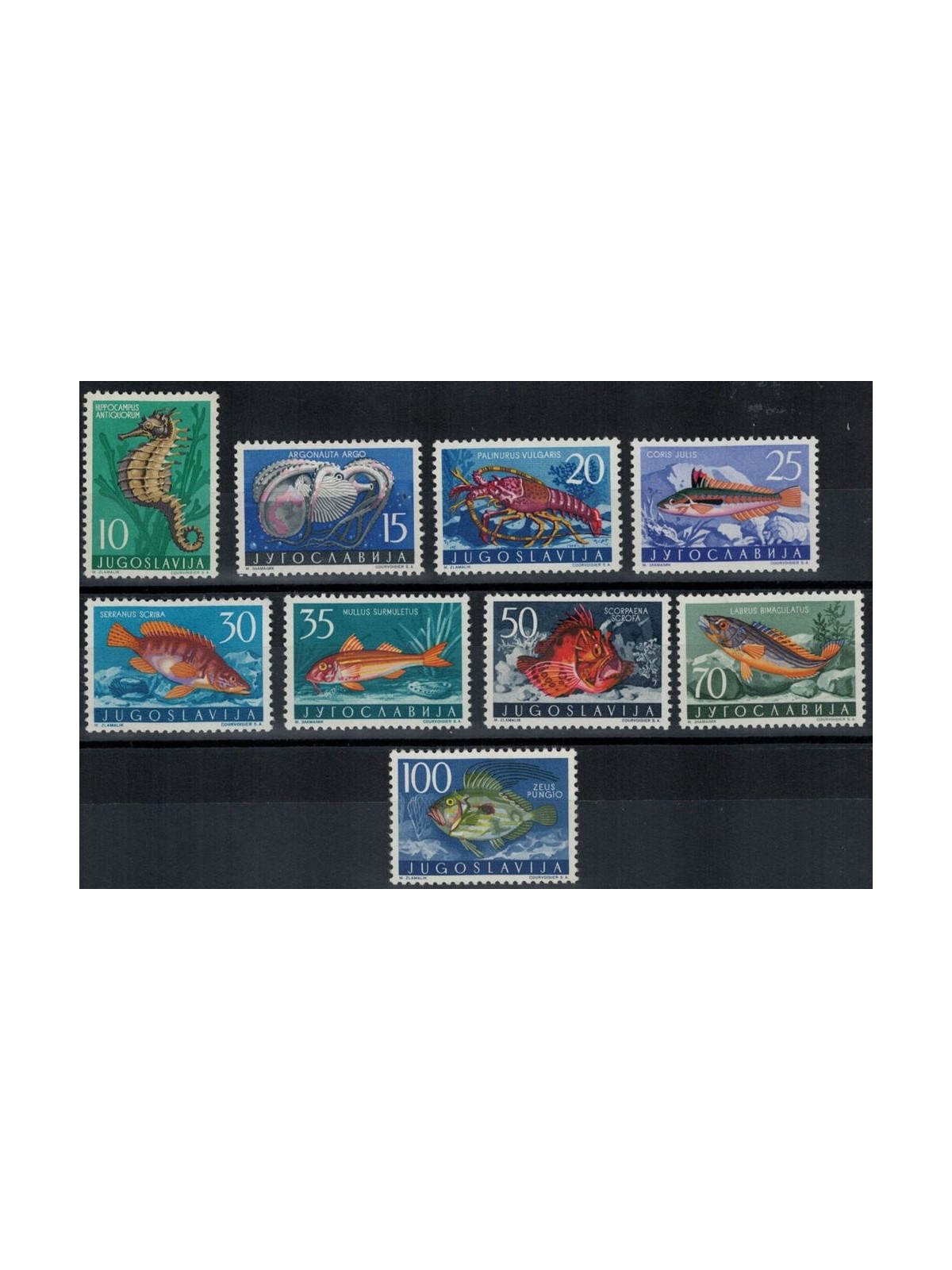 JUGOSLAVIA 1956 Fauna jugoslava, animali del Mare Adriatico 9v MH*
