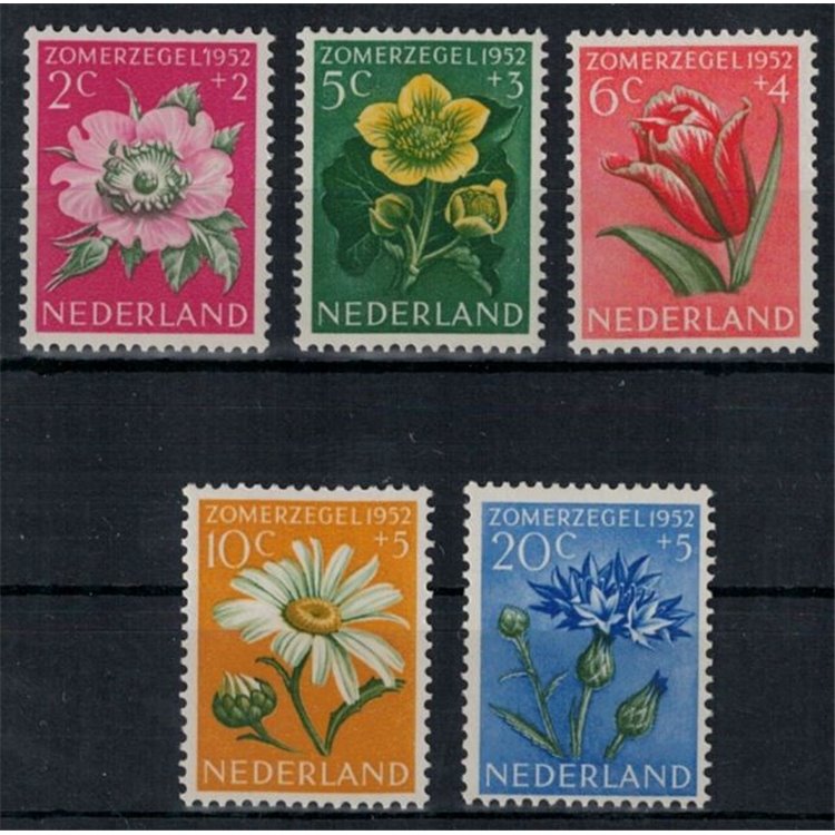 OLANDA 1952 Beneficenza, serie estiva, fiori 5v MNH**