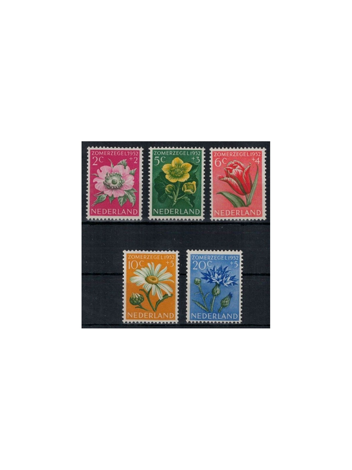 NETHERLANDS 1952 Charity, summer series, flowers 5v MNH**