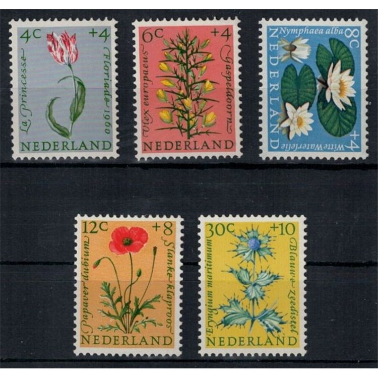 OLANDA 1960 Beneficenza, serie estiva, fiori 5v MNH**