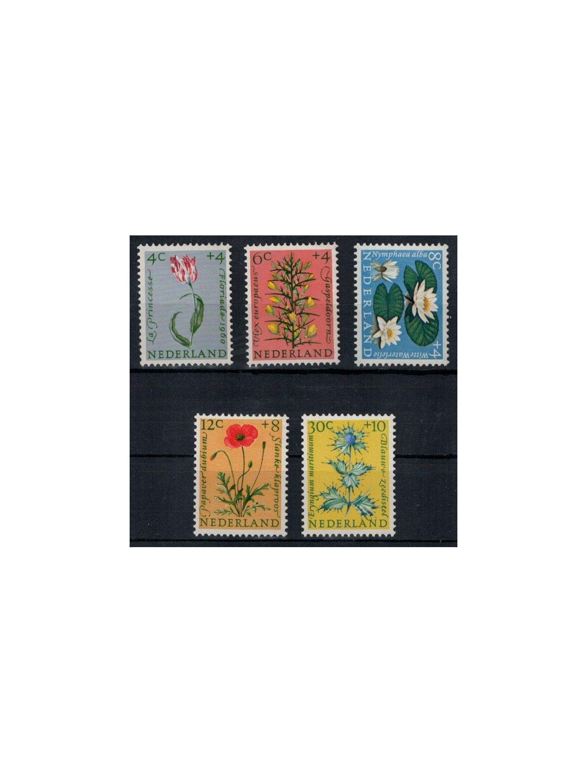 NETHERLANDS 1960 Charity, summer series, flowers 5v MNH**