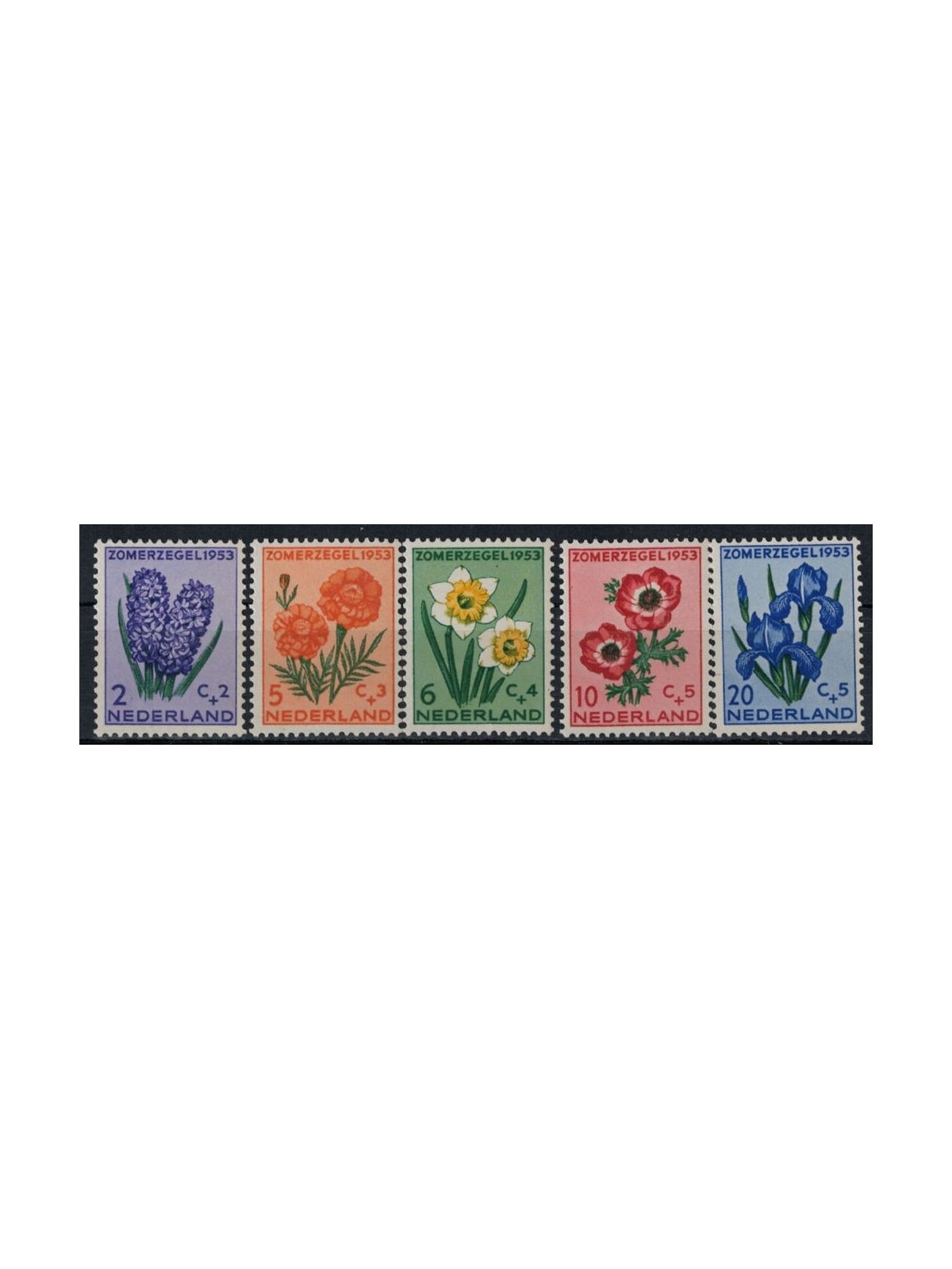 OLANDA 1953 Beneficenza, serie estiva, fiori 5v MNH**