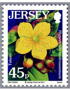 JERSEY 2011 Flora (Wildflowers) MNH**