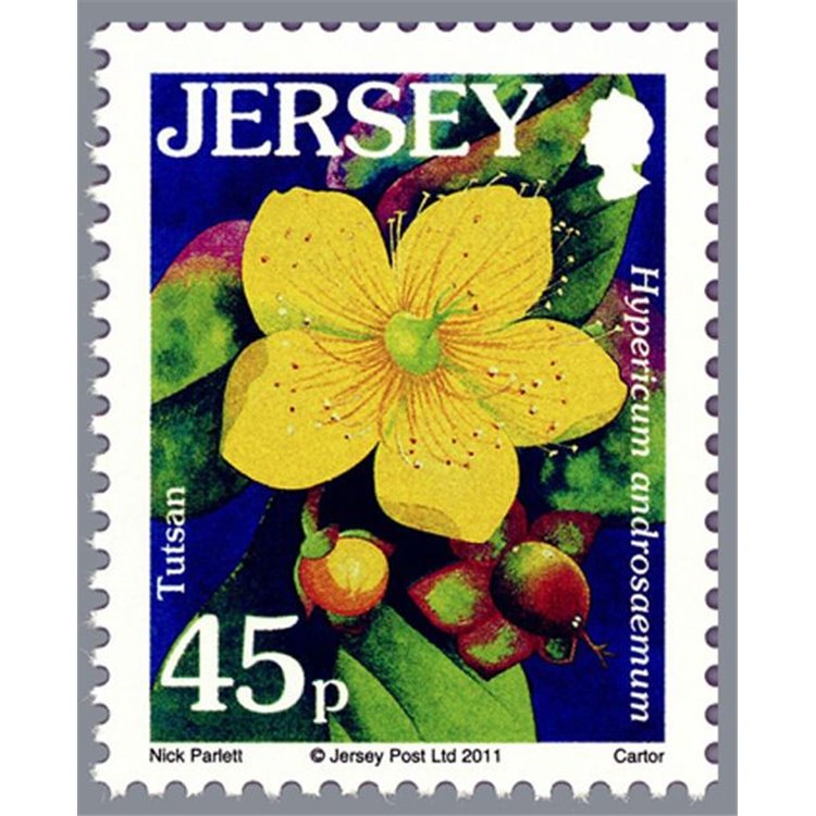 JERSEY 2011 Flora (Fiori selvatici) MNH**