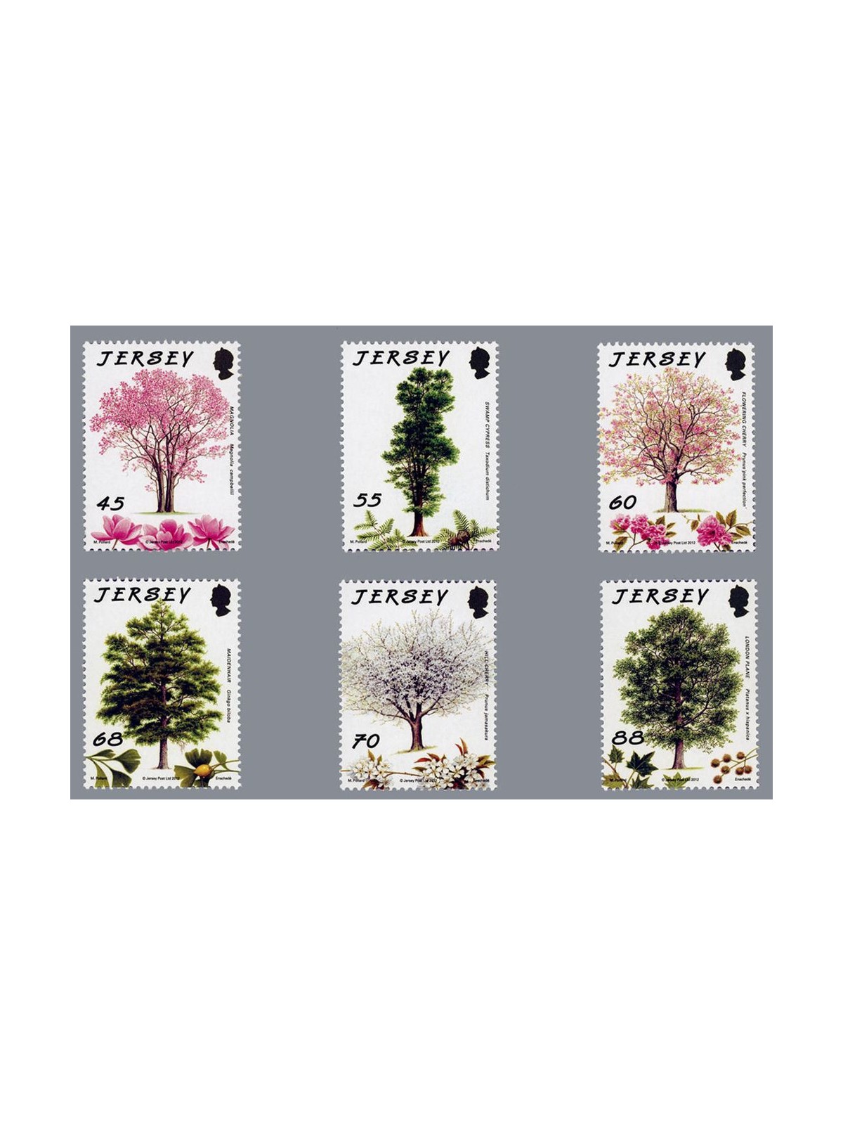 JERSEY 2012 Associazione Jersey Trees for Life 6v MNH**