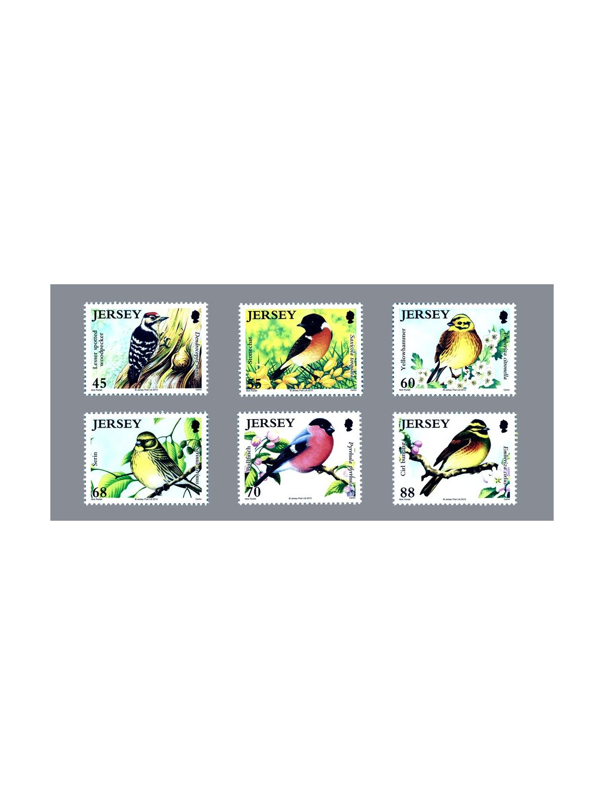JERSEY 2012 Birds - Birdlife VI, Threatened Birds 6v
